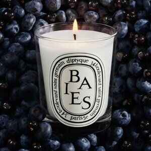 NWT Diptyque Baies Small Candle & Gift Bag